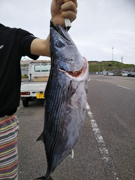 康仁丸・ジギング釣り果